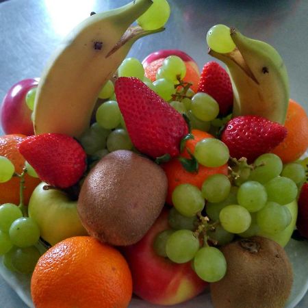 Penzion Bouquet Horni Vestonice Ngoại thất bức ảnh